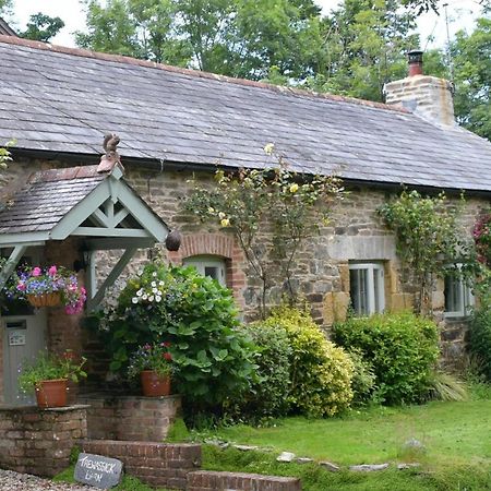 Trewassick Barn Bed & Breakfast New Quay Dış mekan fotoğraf