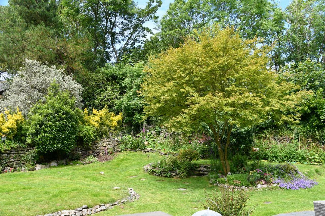 Trewassick Barn Bed & Breakfast New Quay Dış mekan fotoğraf